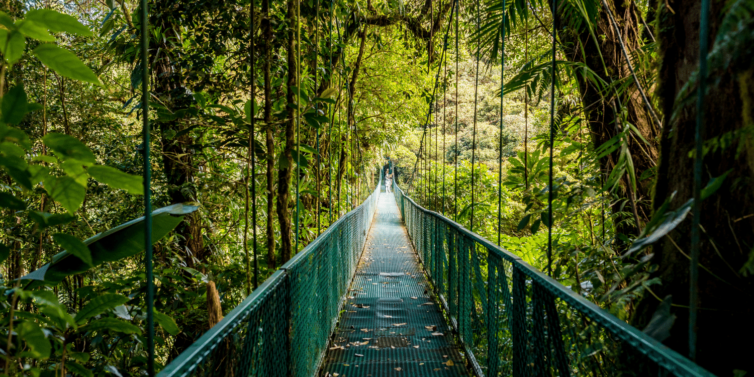 A hanging bridge in Costa Rica